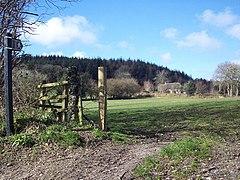 Footpath, Ansty Coombe - geograph.org.uk - 360855.jpg