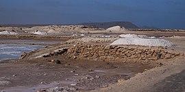 Commons waielbi sal cap vert.jpg
