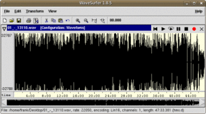WaveSurfer.png