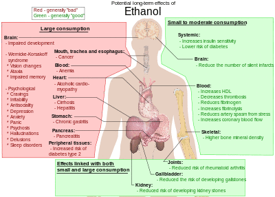 Possible long-term effects of ethanol.svg