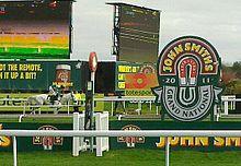 2011 Grand National cropped.jpg