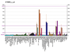PBB GE BGN 213905 x at fs.png