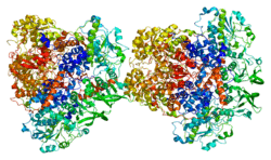 Protein DPYD PDB 1gt8.png
