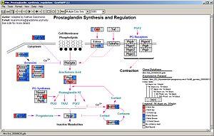Screenshot of GenMAPP