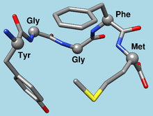 Met-enkephalin 1plx model 1.png