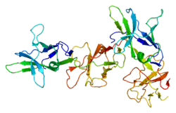 Protein FCAR PDB 1ovz.png