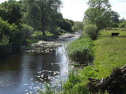 Beržtalis River near Žeimelis