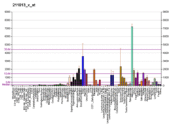 PBB GE DCN 211813 x at fs.png