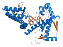 Hyaluronidase 1 2PE4.png