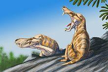 Pristeroognathus DB.jpg