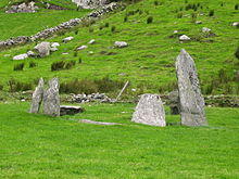 Shronebirrane Stone Circle - geograph.org.uk - 262694.jpg
