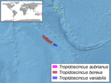 Tropidoscincus sp. distribution.png