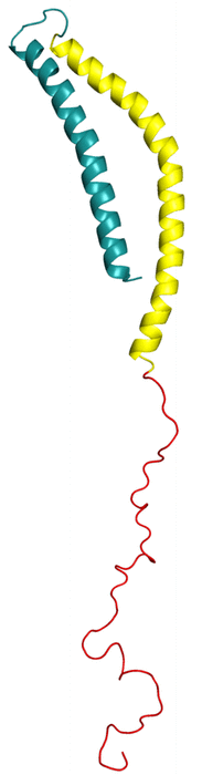 Alpha-synuclein 2005.png