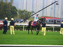 Vengeance of Rain 20071209.JPG