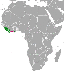 Johnston's Genet area.png