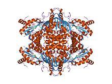 PDB 1j21 EBI.jpg