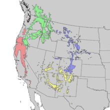 Pinus ponderosa subspecies range map 1.png