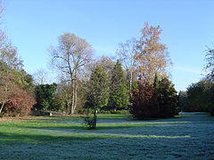 Yeading Brook Open Space, North Harrow - geograph.org.uk - 83938.jpg