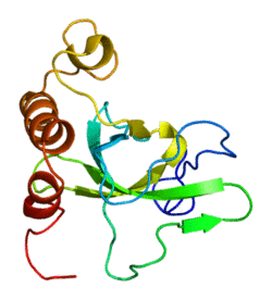 Protein MSH6 PDB 2gfu.png