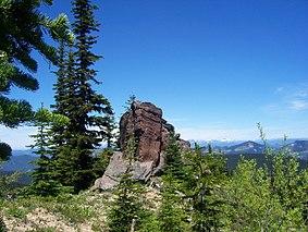 View from the Lost Lake Trail in the Norse Peak Wilderness.JPG