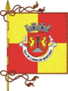 Flag of Canas de Senhorim