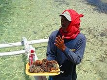 Sea urchins Boholano delicacy.jpg