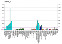 PBB GE ATIC 208758 at fs.png