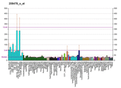 PBB GE BAX 208478 s at fs.png