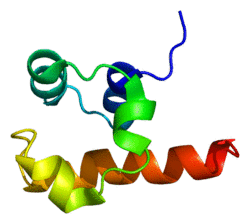 Protein TP73L PDB 1rg6.png
