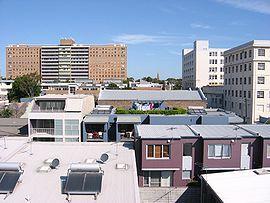 Camperdown.jpg