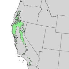 Quercus kelloggii range map 1.png