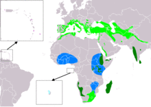 TachymarptisMelbaIUCNver2018 2.png