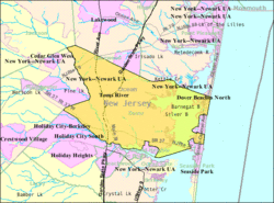 Census Bureau map of Toms River Township, NJ