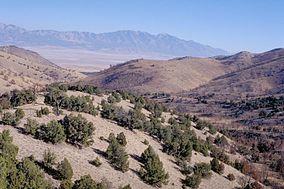 Cedar Mtn Wilderness.jpg
