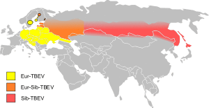 EurAsia TBE-belt.svg