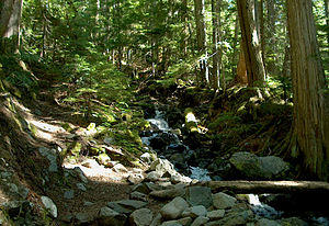Garibaldi National Park - Garibaldi Mountain.jpg