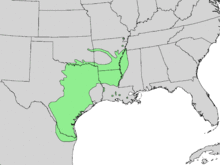 Ulmus crassifolia range map 4.png