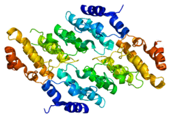 Protein TRPV2 PDB 2f37.png