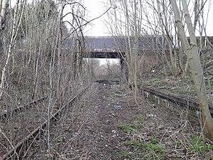 Brockmoor Halt, now out of use and overgrown..jpg