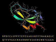 BPTI seq ribbon sticks.jpg
