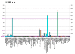 PBB GE INSIG1 201625 s at fs.png