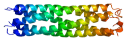 Protein COMP PDB 1fbm.png