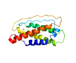 Protein IL7 PDB 1IL7.png