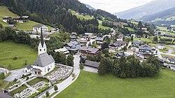 Wald im pinzgau.jpg
