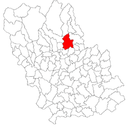 Location in Prahova County