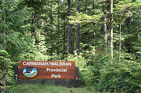 Carmanah walbran park.jpg