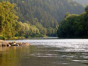 Dunajec Szczawnica.jpg