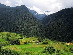 Densely forested mountains of Jigme Dorji NP AJTJ IMG 1394.jpg