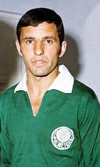 Artime palmeiras.jpg