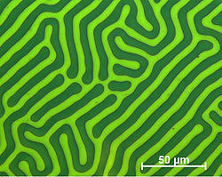 Domain structure of an examplary meander domain (recorded using CMOS-MagView)